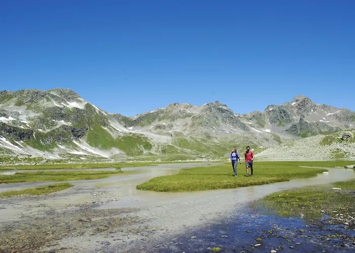 2-zimmer Buenda Апартаменты Давос